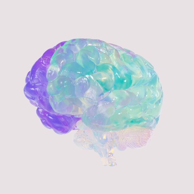 The Role of Nutrition in Brain Health